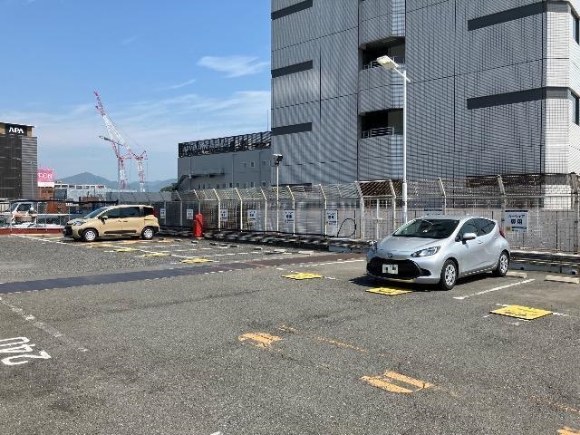 全体写真