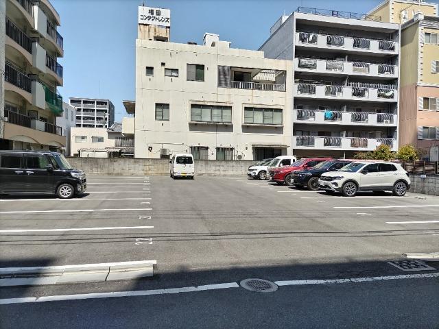 全体写真
