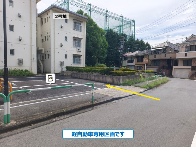 全体写真
