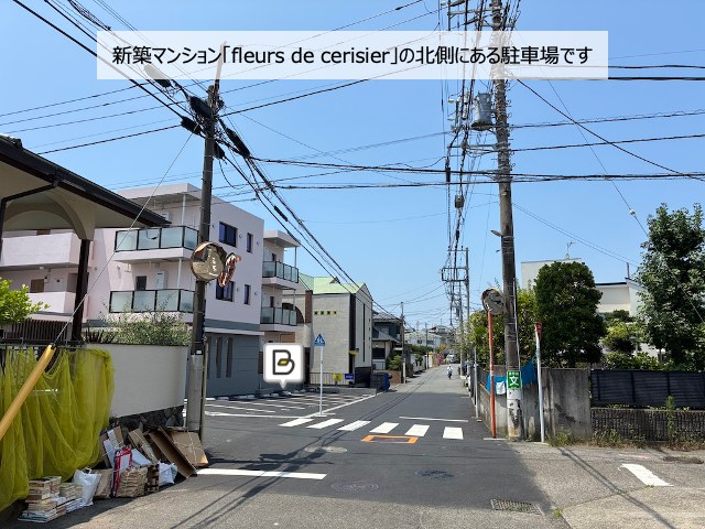 全体写真