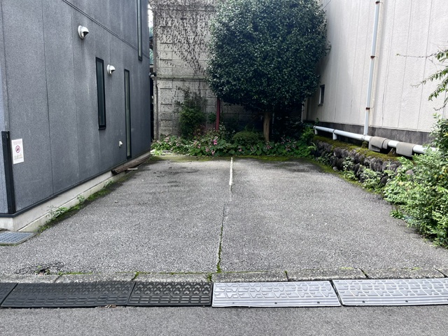 全体写真