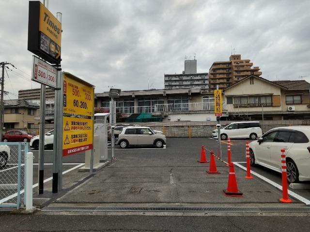 全体写真