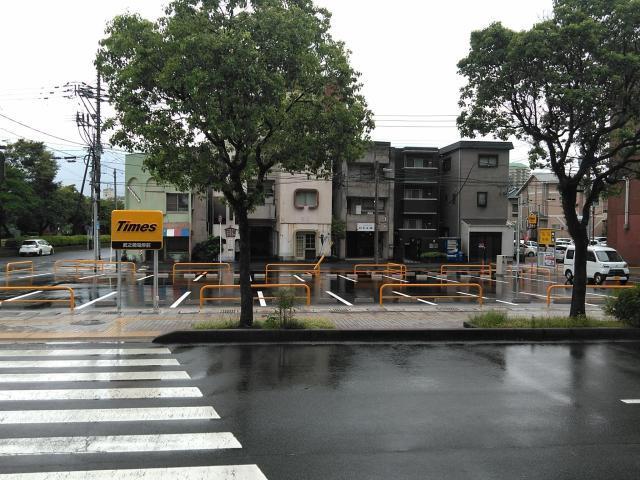 全体写真