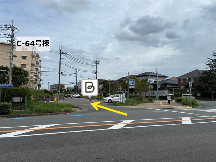 全体写真