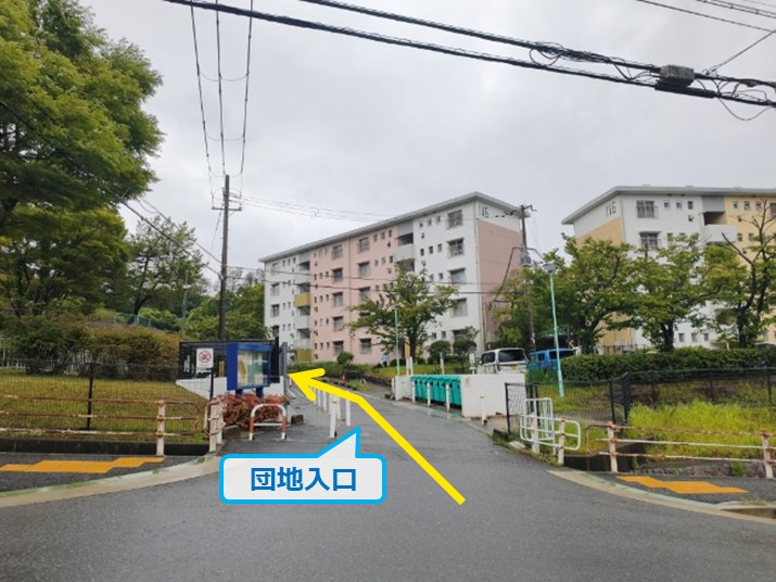 全体写真