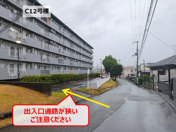 全体写真