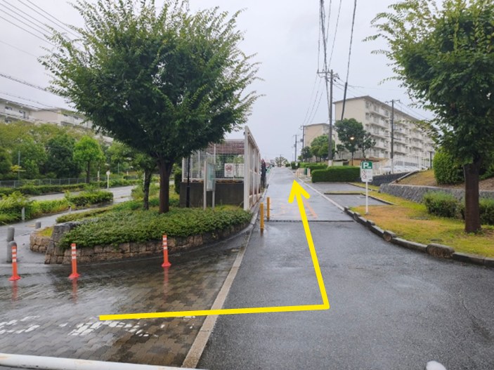 全体写真