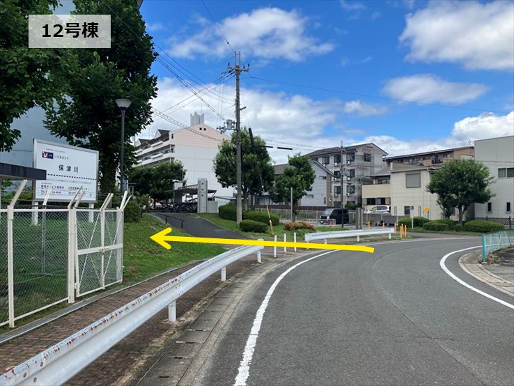 全体写真