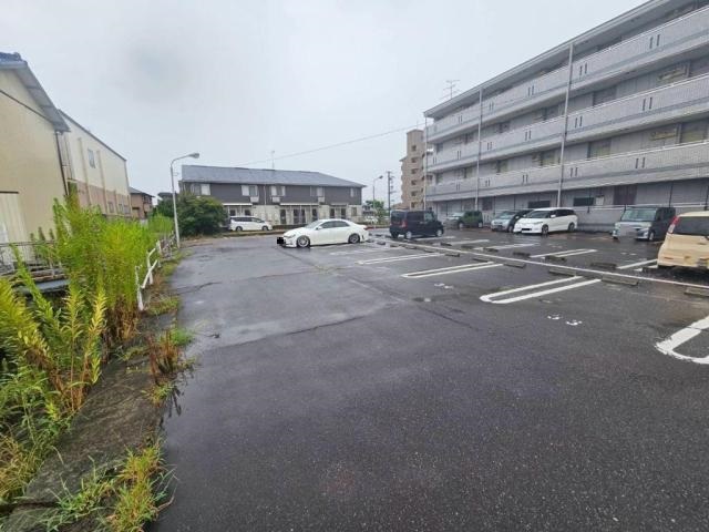 全体写真