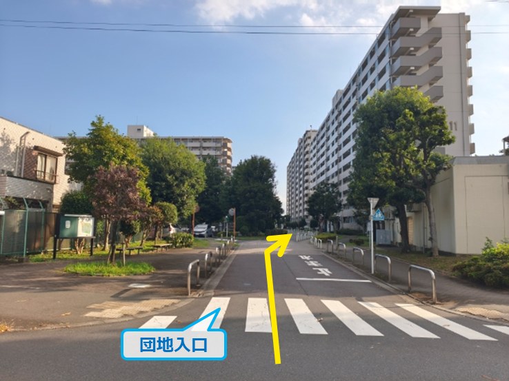 全体写真