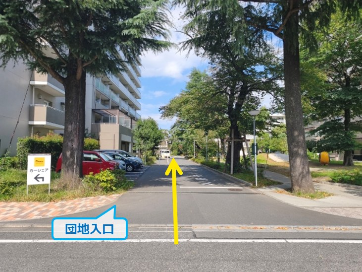 全体写真