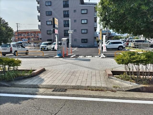全体写真