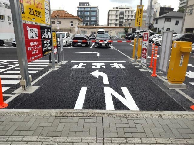 全体写真