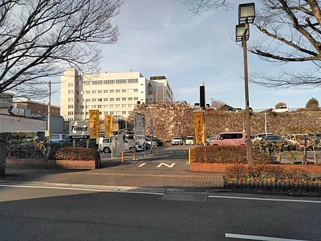 全体写真