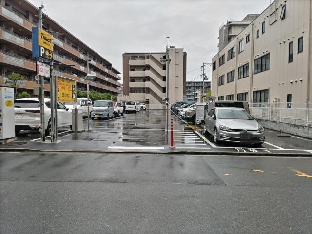 全体写真