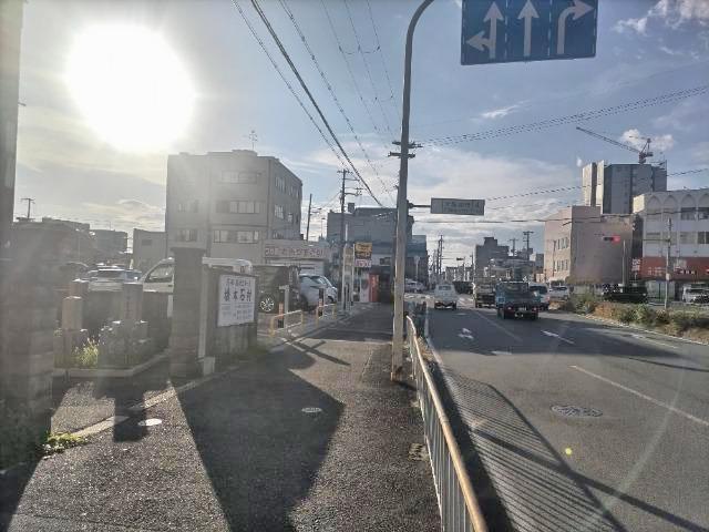 全体写真