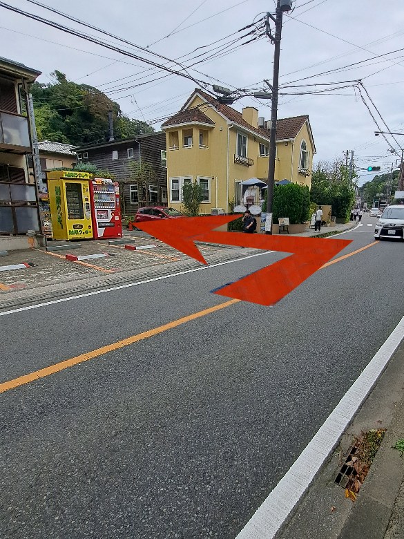 全体写真