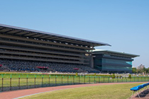 東京競馬場 府中競馬場 近くの予約できる駐車場 駐車場予約なら タイムズのb